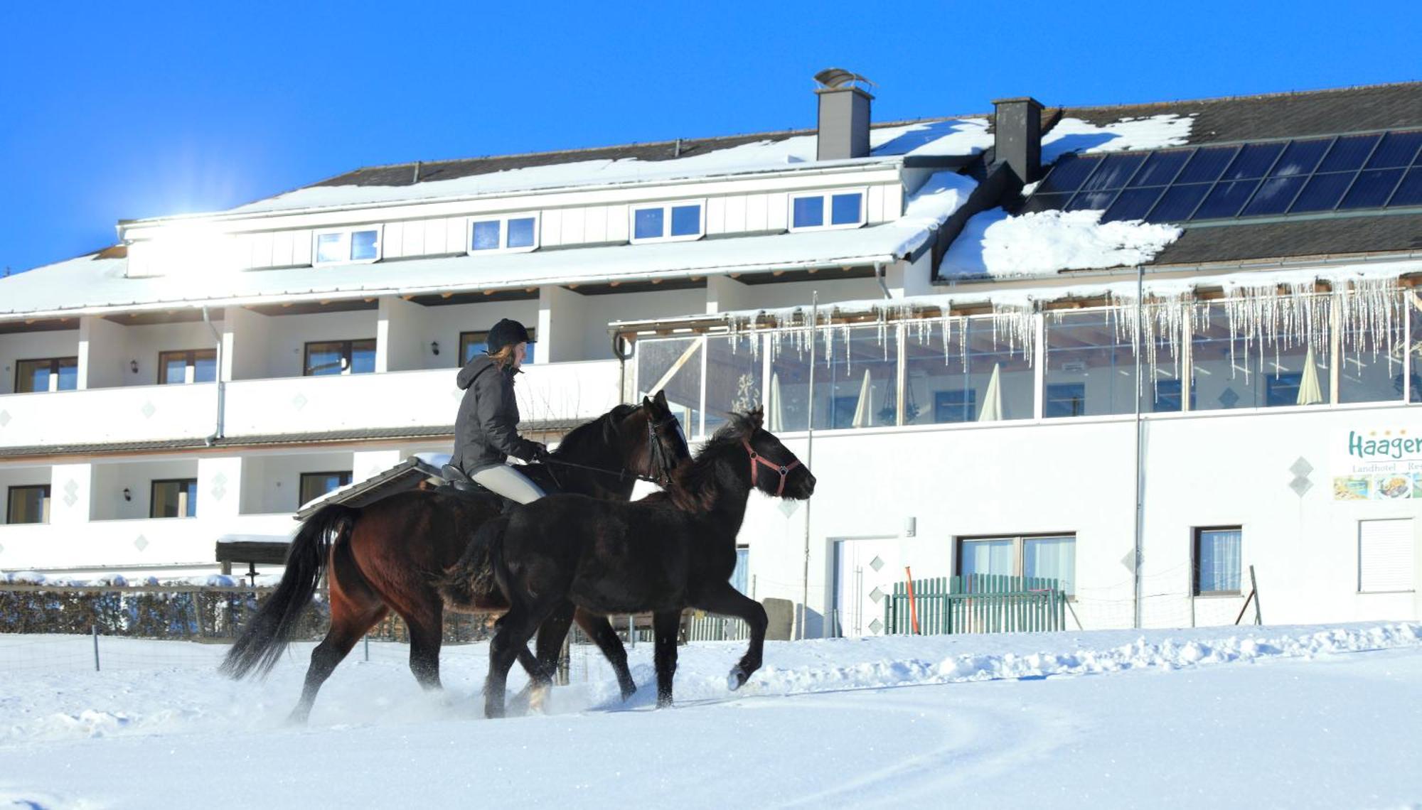אייגן אים מולקרייז Landhotel Haagerhof מראה חיצוני תמונה