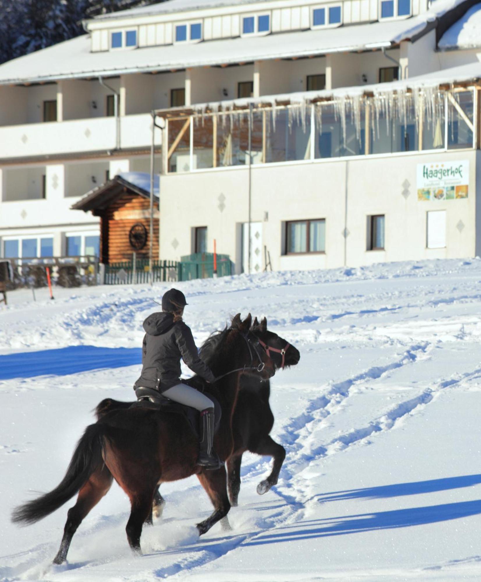 אייגן אים מולקרייז Landhotel Haagerhof מראה חיצוני תמונה